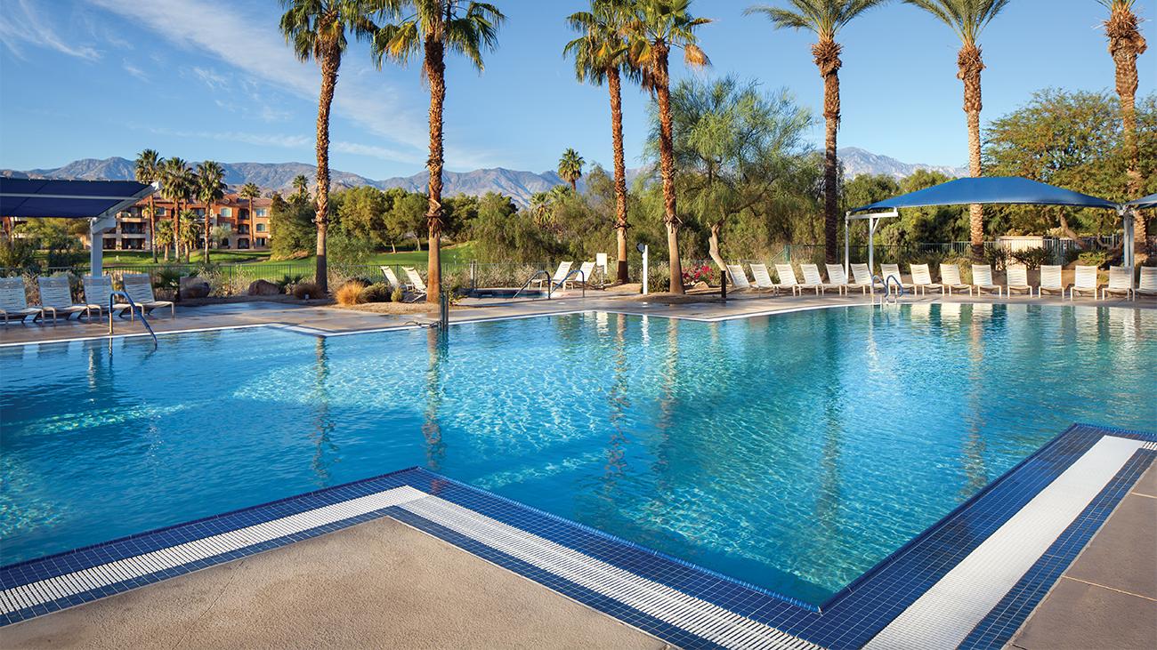 Chuckwalla Lounge Outdoor Pool